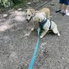 June photo 5