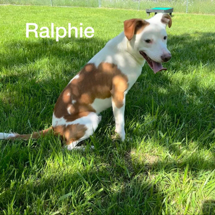 Ralphie 2