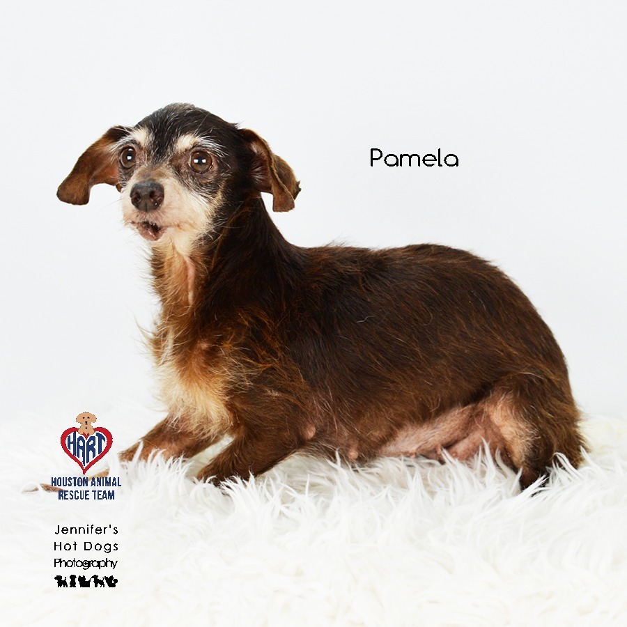 Pamela