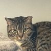 Hermione photo 6