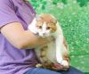 Burtrum (Foster Animal) photo 2