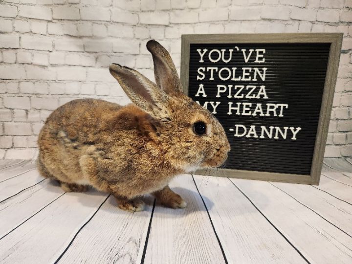 Danny 3