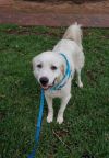 Frankie fka Cass (Hopalong) SAT photo 3