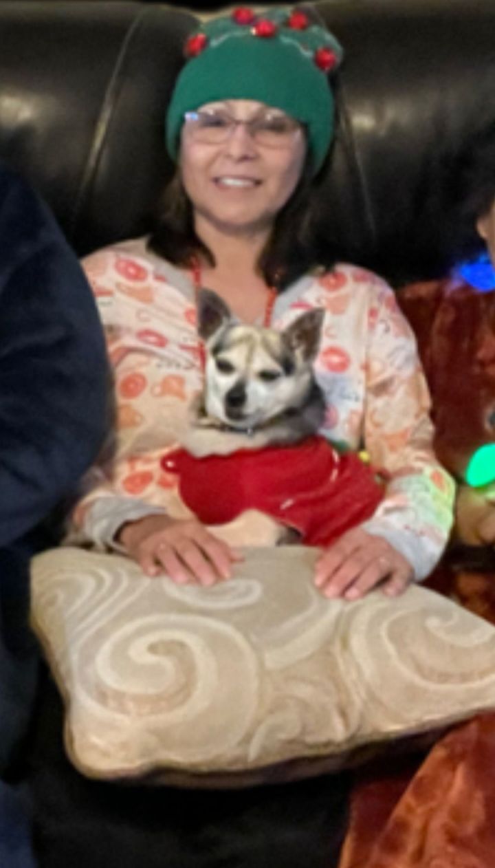 Lola 1