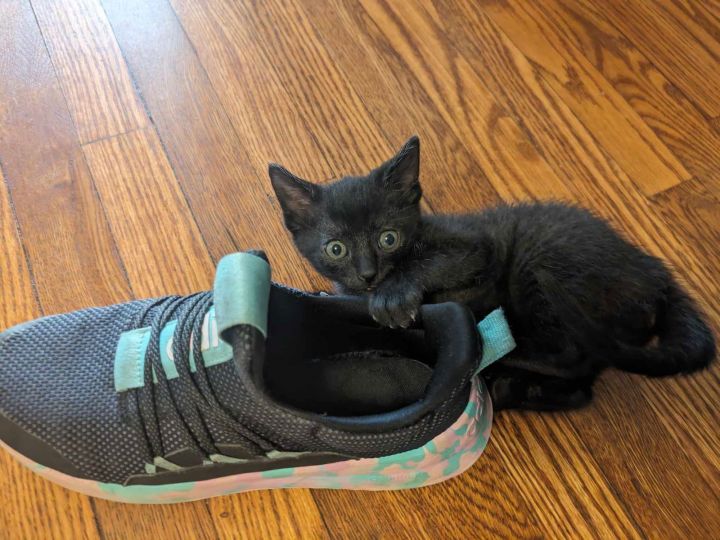 Spike 2
