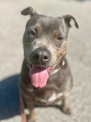 Sandra-FEE FULLY SPONSORED!