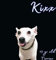 Kixx 2