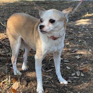 Jocelyn, Senior Female unknown