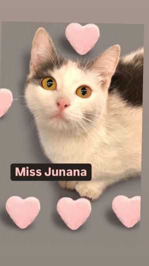 Miss Junana at Martinez Pet Food Express March 1