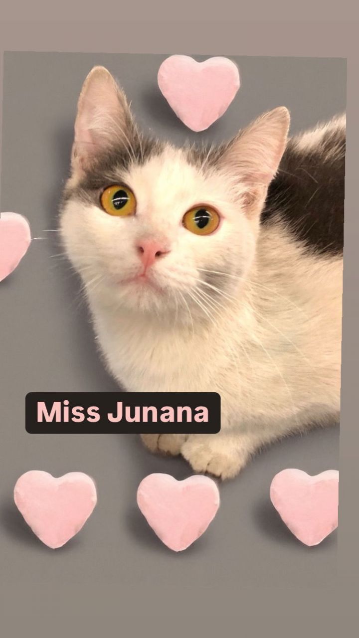 Miss Junana at Martinez Pet Food Express March 1 1