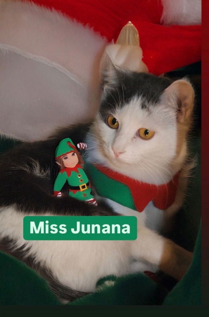 Miss Junana at Martinez Pet Food Express March 1 2