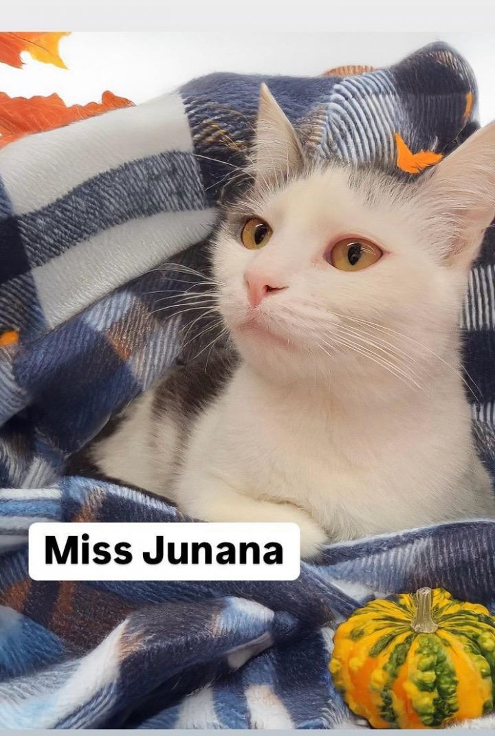 Miss Junana at Martinez Pet Food Express March 1 3