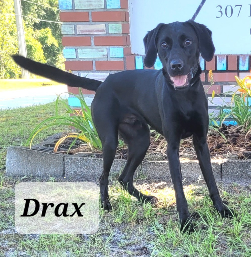 Drax