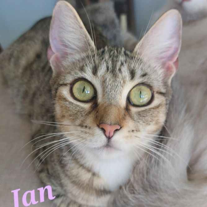 Jan