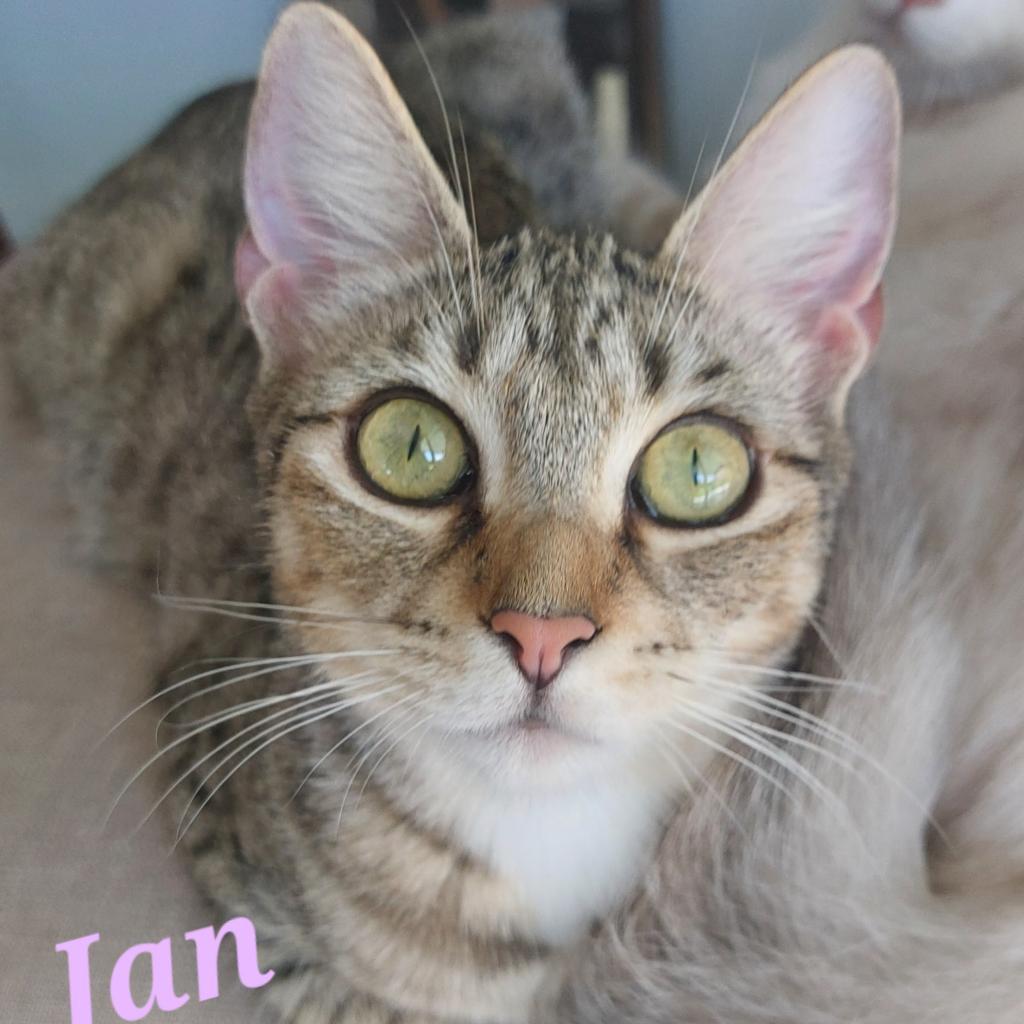 Jan