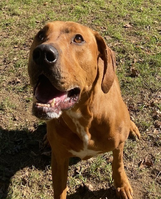 TRUMAN