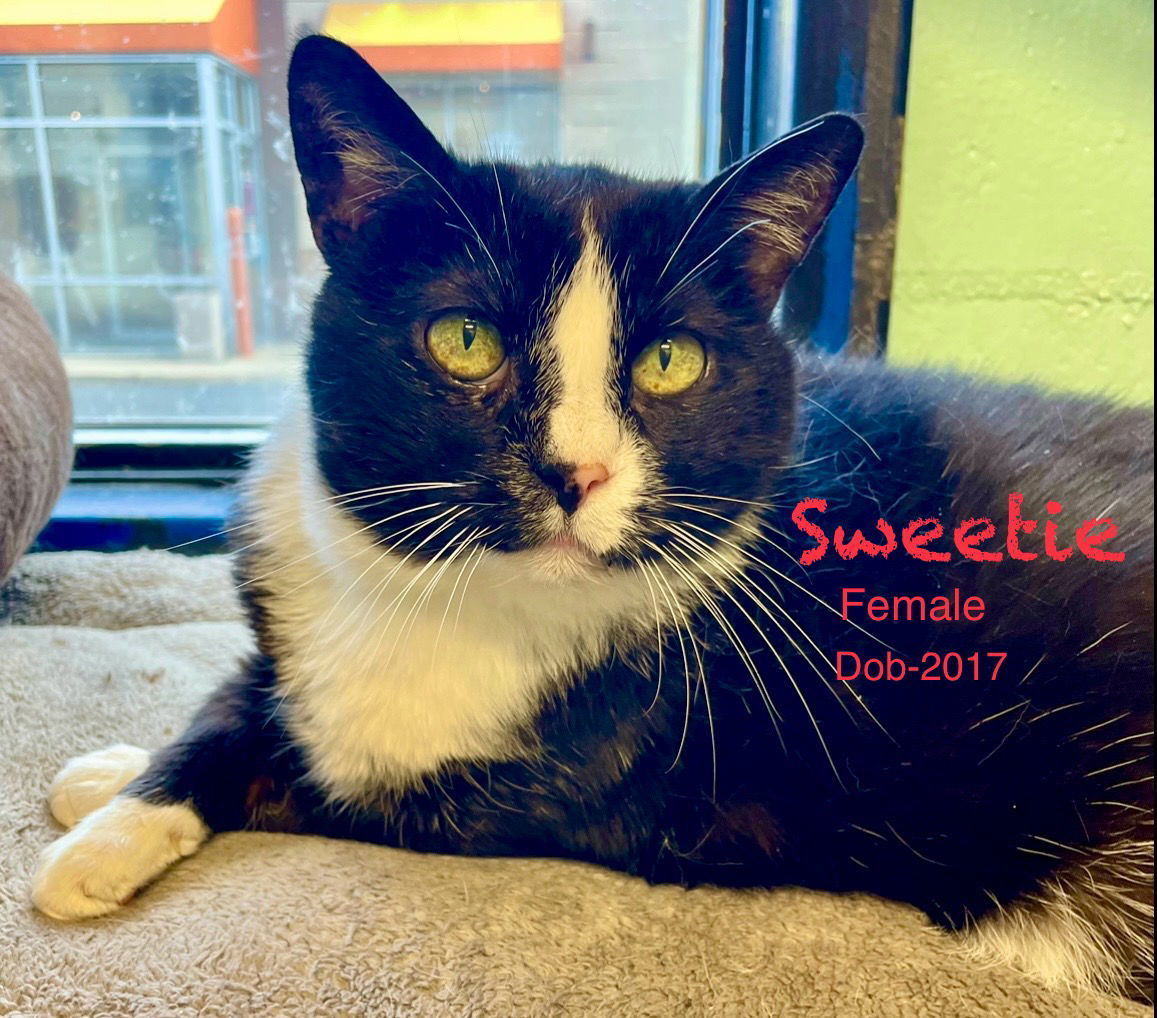 Sweetie