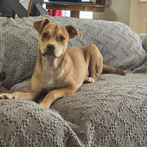 Cadbury