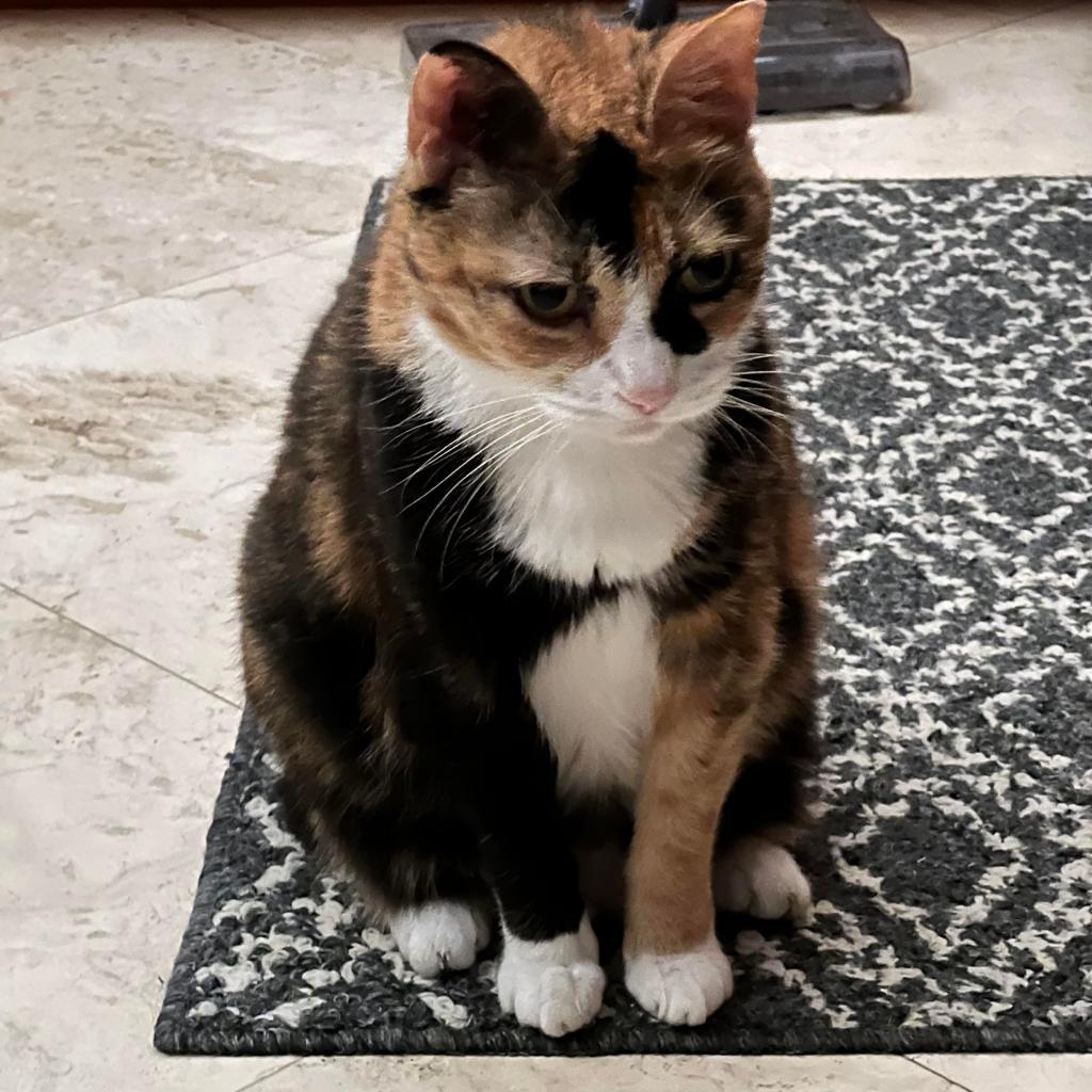 Mittens