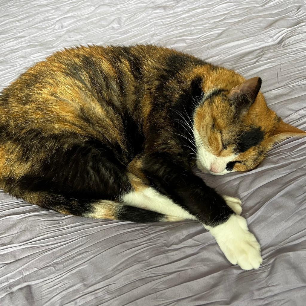 Mittens