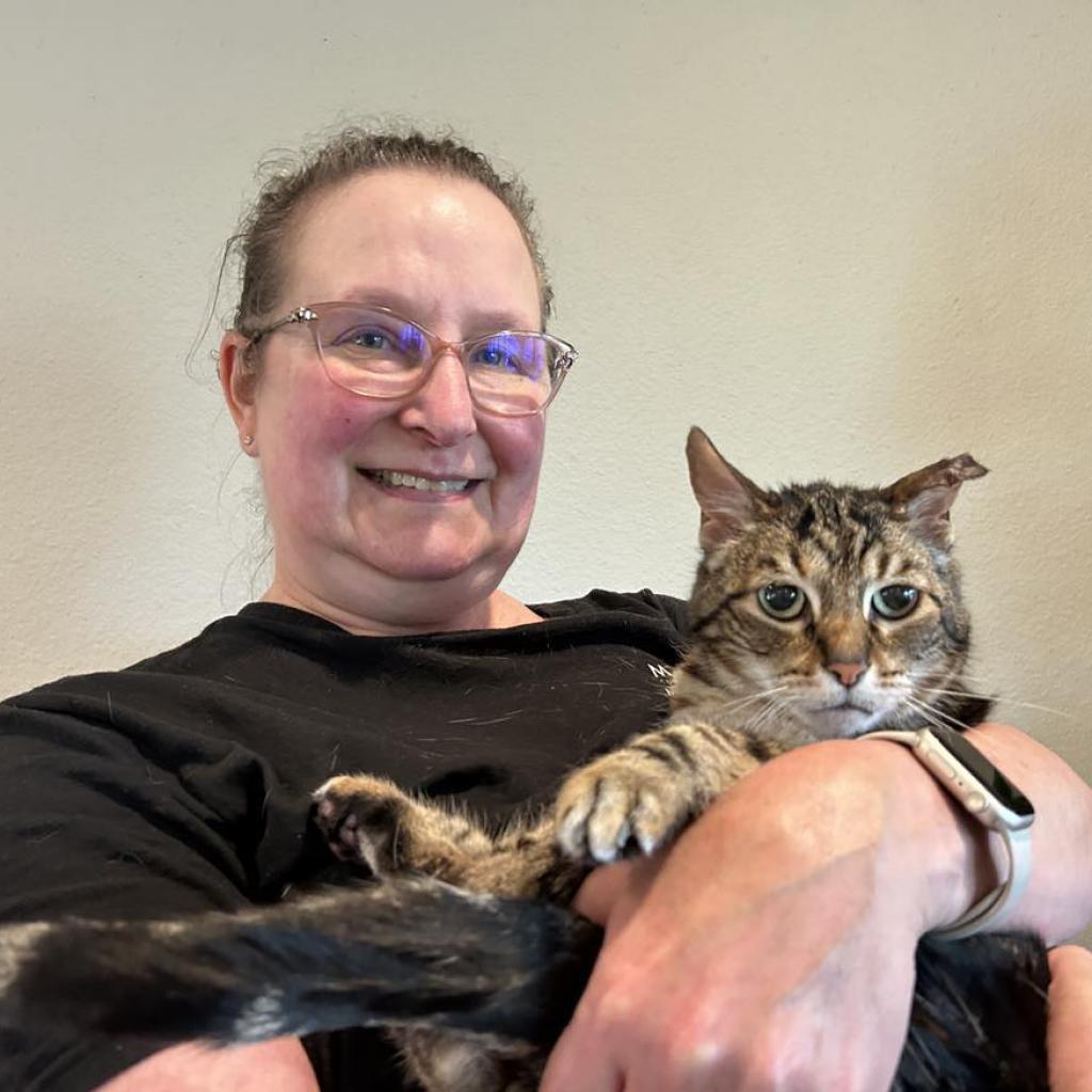 Kiki, an adoptable Domestic Short Hair in Ramona, CA, 92065 | Photo Image 2