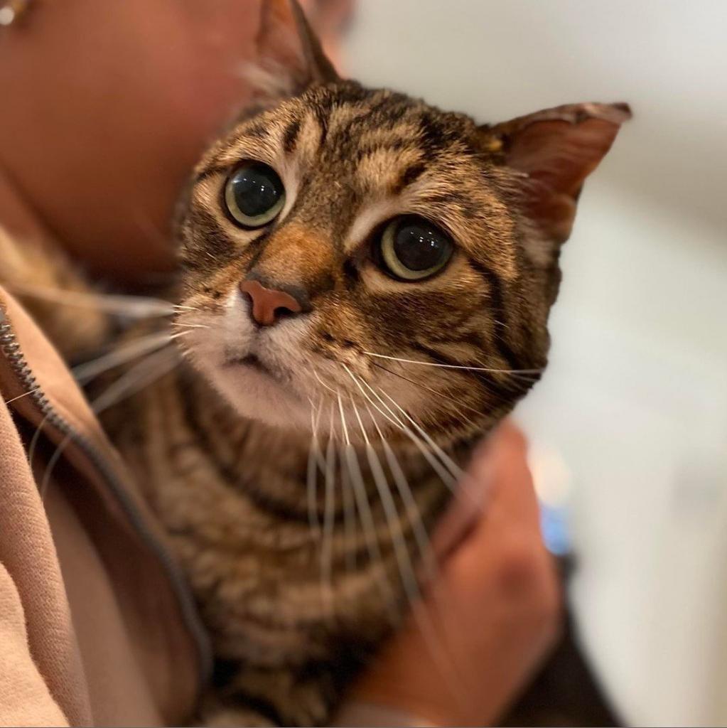 Kiki