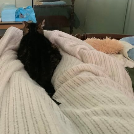 Kiki