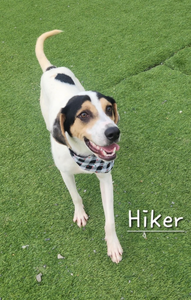 Hiker 1