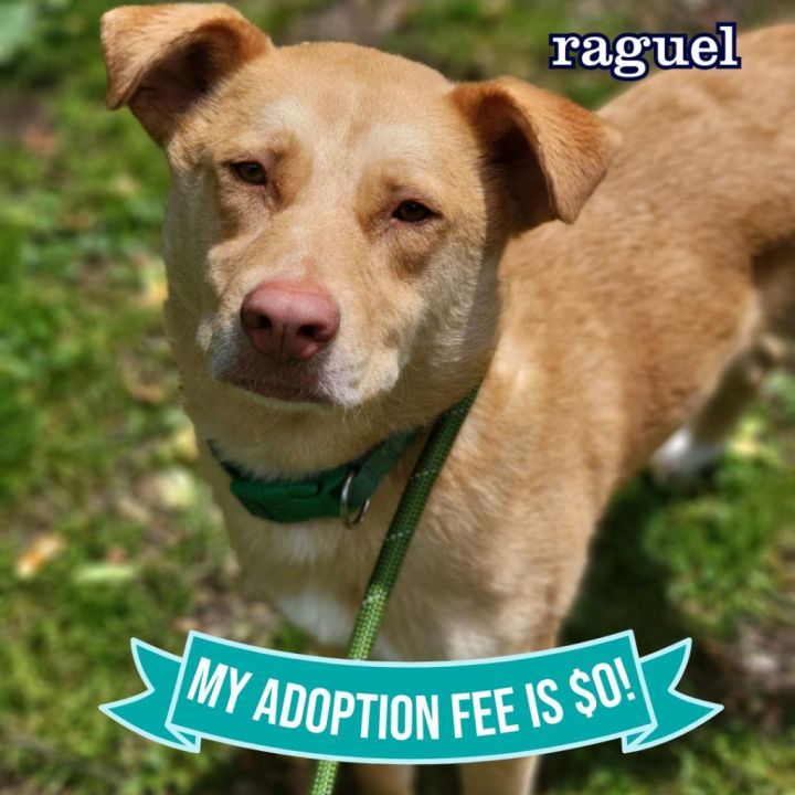 Raguel 1