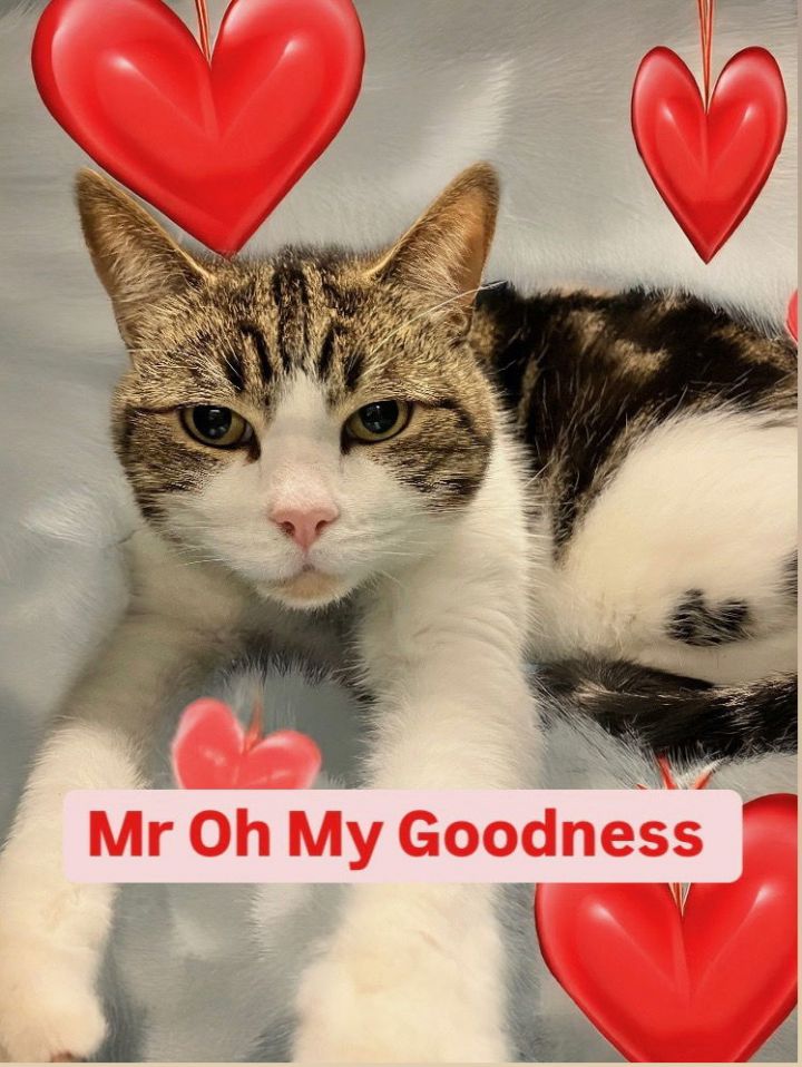 Mr Oh My Goodness (aka OMG) Martinez PFE Mar 29 2