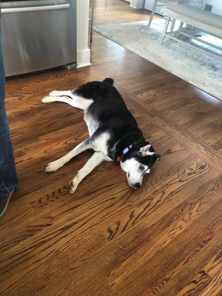 Harley A048458 2