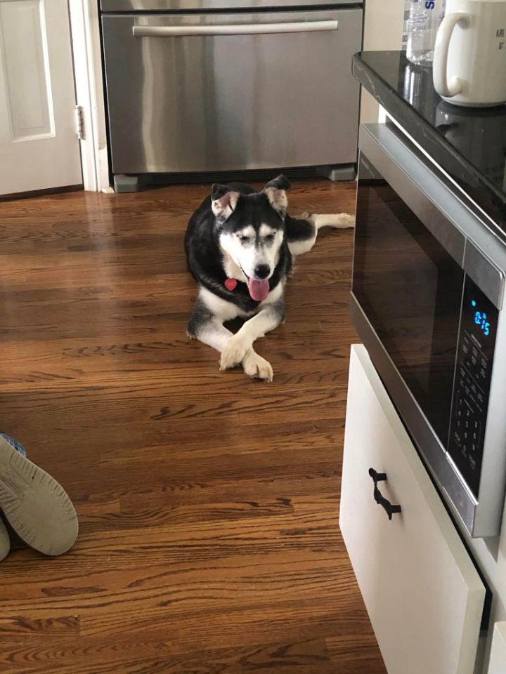 Harley A048458 4