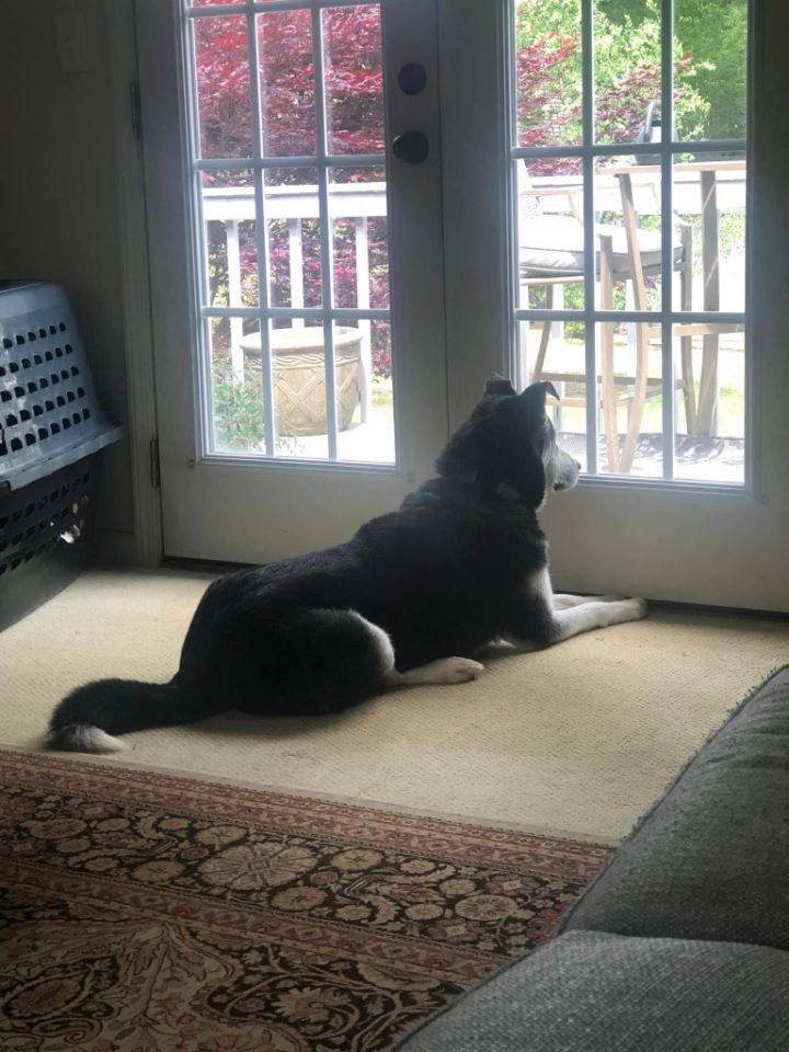 Harley A048458 5