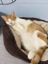 Clyde photo 3