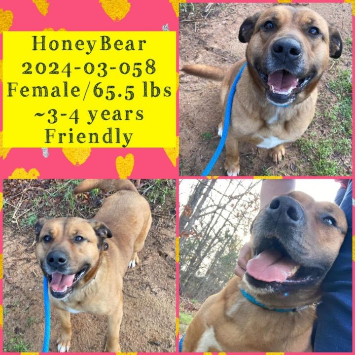 2024-05-040 *Honey Bear* 3