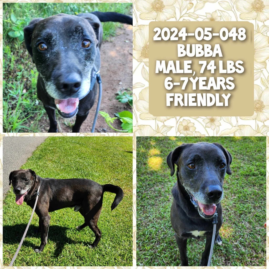 2024-05-048 *Bubba*