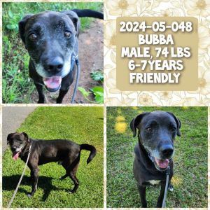 2024-05-048 *Bubba*