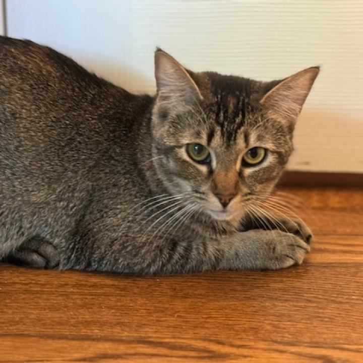 Sophie 05-0605
