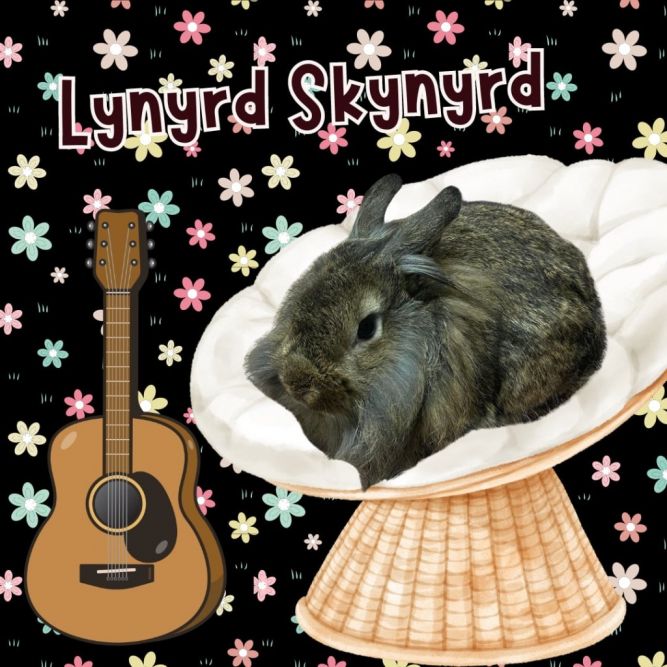 Lynrd Skynrd