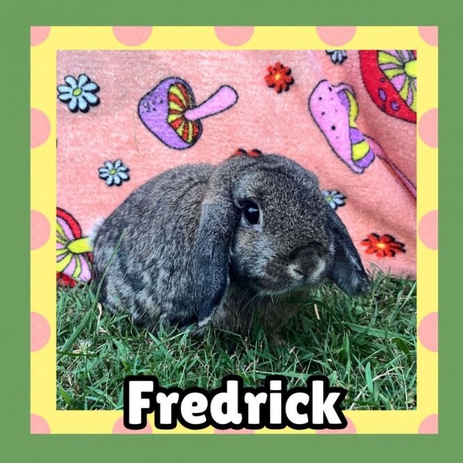 Fredrick