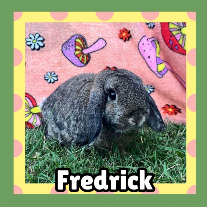 Fredrick 1