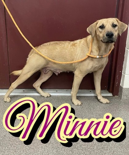 Minnie 1