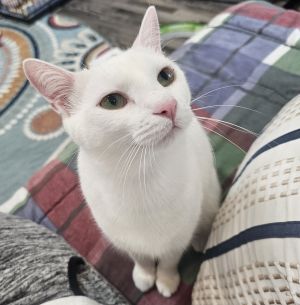 Nora