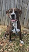 Bruce-Sponsored photo 1