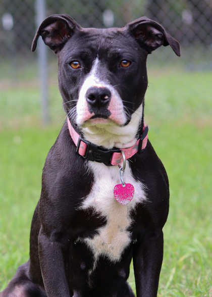 Ellie