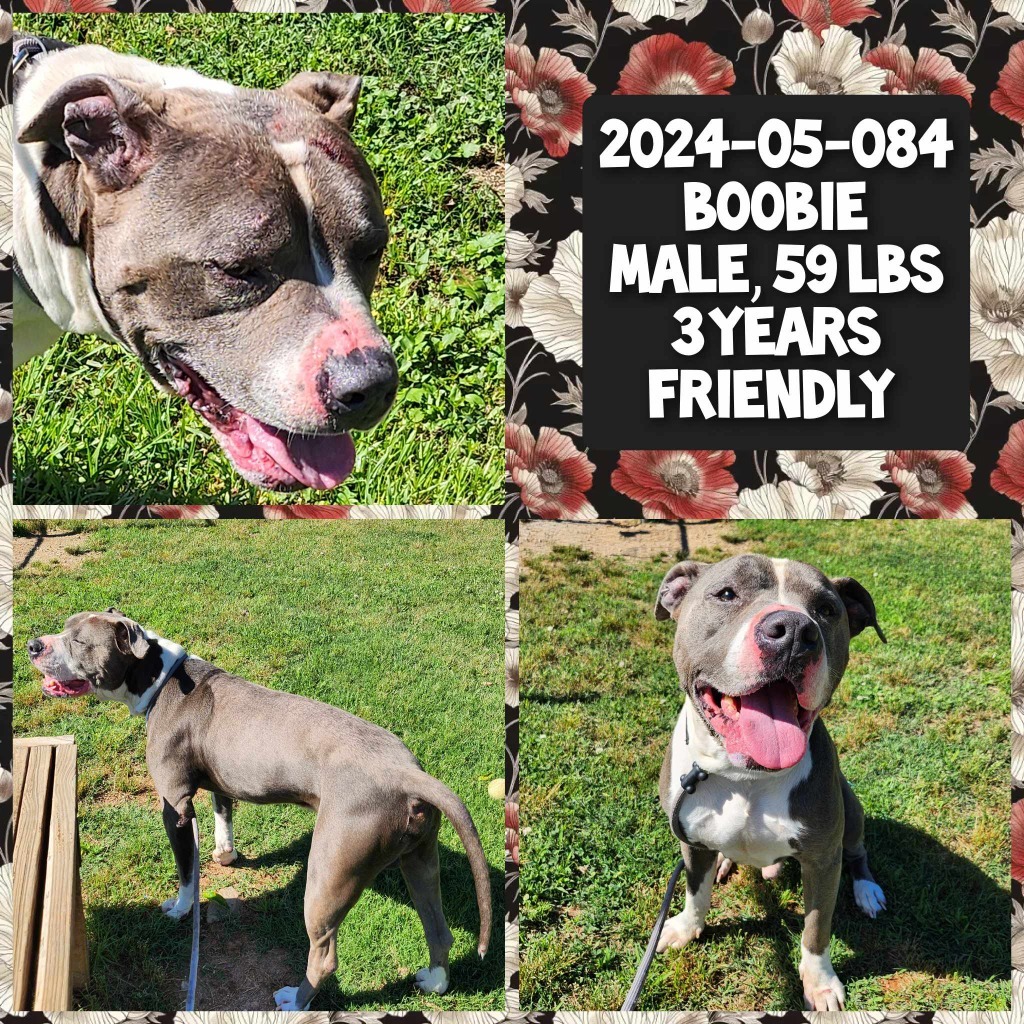 2024-05-084 *Boobie*