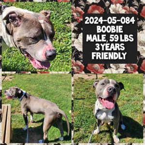 2024-05-084 *Boobie*