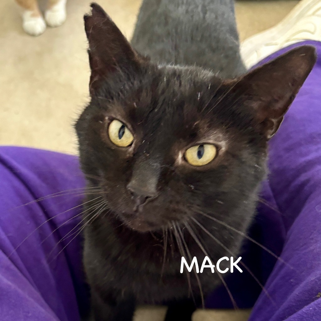 Mack