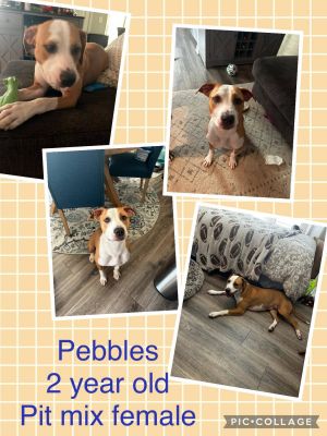 Pebbles