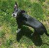 Trixie photo 2